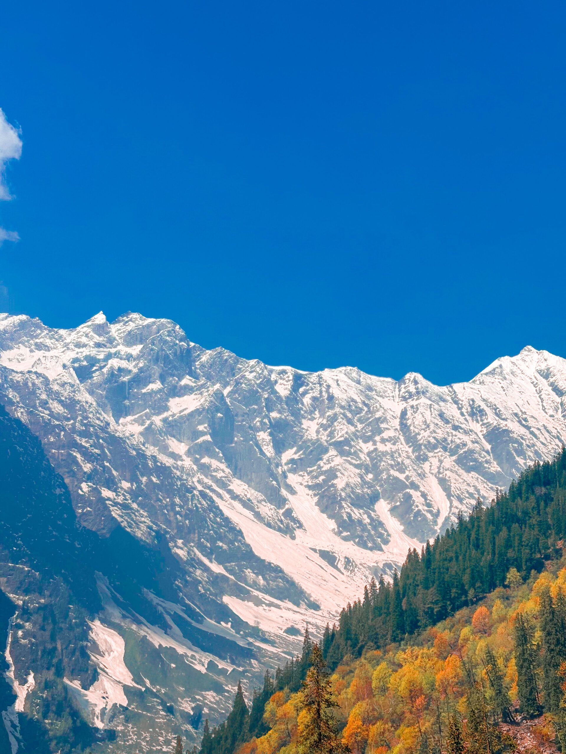 Captivating snow-capped mountains with vibrant autumn foliage in Himachal Pradesh, India.